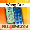 Hard Wang new02